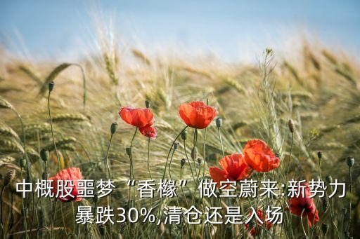 中概股噩夢“香櫞”做空蔚來:新勢力暴跌30%,清倉還是入場