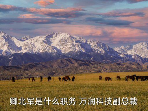 深圳市萬(wàn)潤(rùn)集團(tuán),煙臺(tái)開(kāi)發(fā)區(qū)萬(wàn)潤(rùn)集團(tuán)