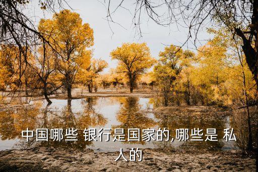 中國(guó)哪些 銀行是國(guó)家的,哪些是 私人的