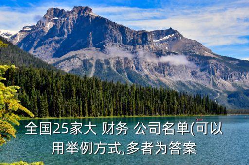 全國25家大 財務(wù) 公司名單(可以用舉例方式,多者為答案