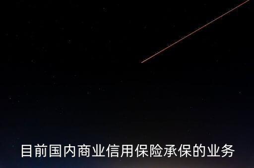 目前國(guó)內(nèi)商業(yè)信用保險(xiǎn)承保的業(yè)務(wù)