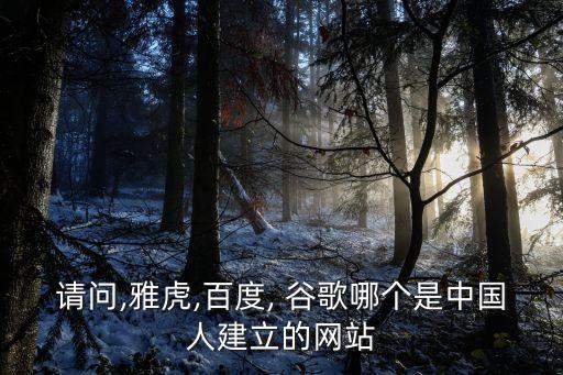 請問,雅虎,百度, 谷歌哪個是中國人建立的網(wǎng)站