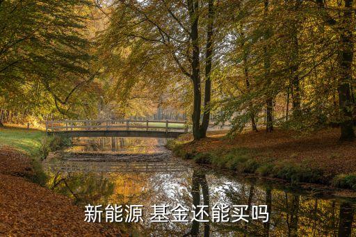 新能源 基金還能買嗎