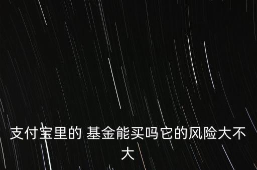 支付寶里的 基金能買嗎它的風(fēng)險大不大
