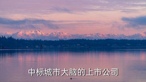 中標城市大腦的上市公司
