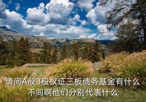 請(qǐng)問A股B股權(quán)證三板債務(wù)基金有什么不同啊他們分別代表什么
