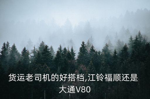 貨運(yùn)老司機(jī)的好搭檔,江鈴福順還是 大通V80