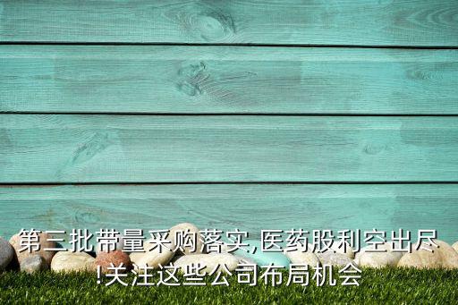 第三批帶量采購(gòu)落實(shí),醫(yī)藥股利空出盡!關(guān)注這些公司布局機(jī)會(huì)