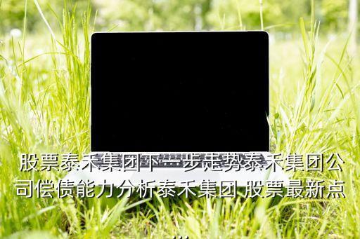  股票泰禾集團(tuán)下一步走勢(shì)泰禾集團(tuán)公司償債能力分析泰禾集團(tuán) 股票最新點(diǎn)...