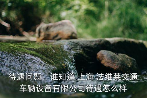 待遇問題、誰知道 上海 法維萊交通車輛設(shè)備有限公司待遇怎么樣