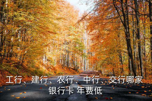 哪些銀行有年費(fèi),銀行有哪些證書(shū)可以考