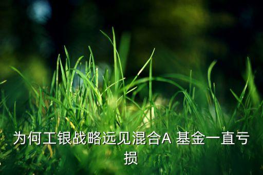為何工銀戰(zhàn)略遠見混合A 基金一直虧損