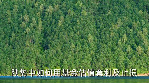 跌勢(shì)中如何用基金估值套利及止損