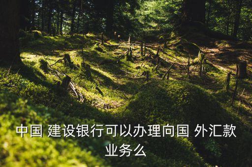 中國 建設(shè)銀行可以辦理向國 外匯款業(yè)務(wù)么