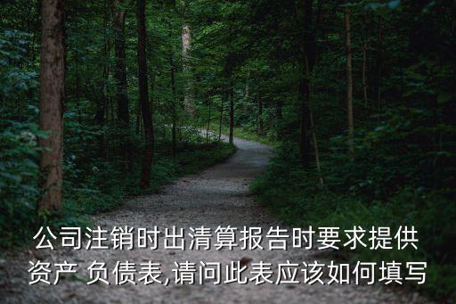  公司注銷時出清算報告時要求提供 資產(chǎn) 負(fù)債表,請問此表應(yīng)該如何填寫