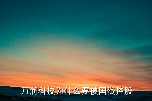  萬(wàn)潤(rùn)科技為什么要被國(guó)資控股