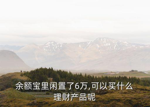  余額寶里閑置了6萬(wàn),可以買(mǎi)什么 理財(cái)產(chǎn)品呢