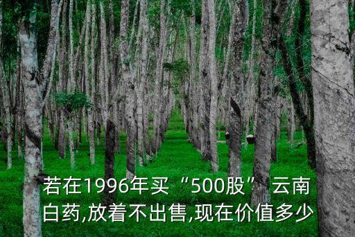 若在1996年買“500股” 云南白藥,放著不出售,現(xiàn)在價(jià)值多少