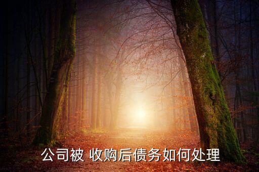  公司被 收購(gòu)后債務(wù)如何處理