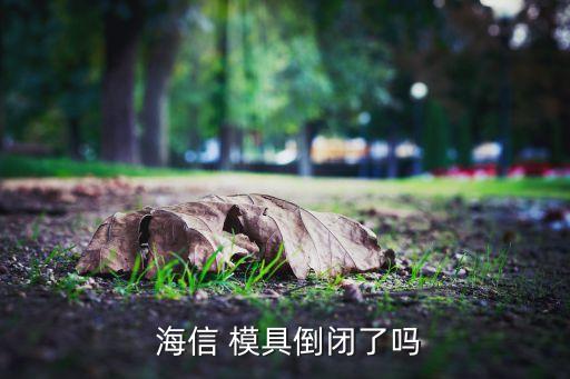 青島海信模具有限公司地址