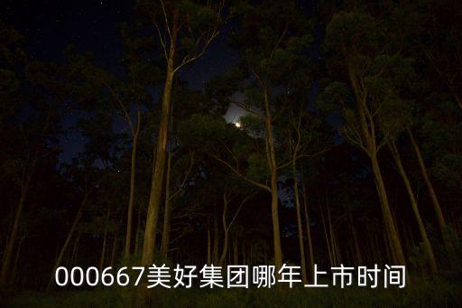 000667美好集團哪年上市時間