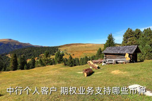 中行個人客戶 期權業(yè)務支持哪些幣種