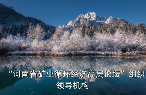 “河南省礦業(yè)循環(huán)經(jīng)濟高層論壇”組織領導機構(gòu)
