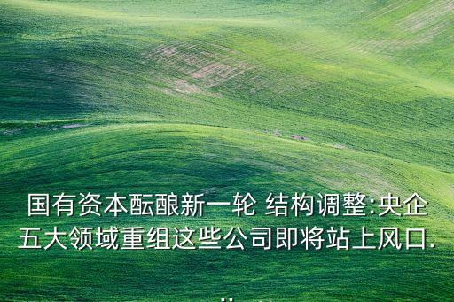國有資本醞釀新一輪 結(jié)構(gòu)調(diào)整:央企五大領(lǐng)域重組這些公司即將站上風口...