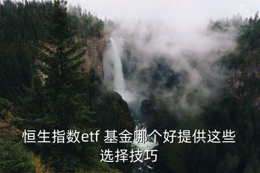 恒生指數(shù)etf 基金哪個(gè)好提供這些選擇技巧