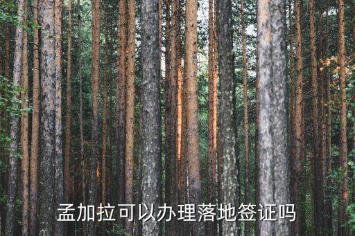 孟加拉可以辦理落地簽證嗎