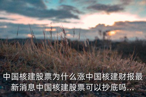 2015中國(guó)核電十大工作亮點(diǎn)