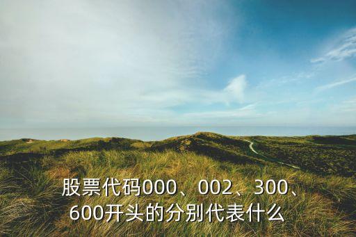  股票代碼000、002、300、600開(kāi)頭的分別代表什么
