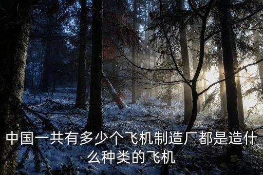 中國一共有多少個(gè)飛機(jī)制造廠都是造什么種類的飛機(jī)