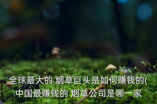 2010年度中國(guó)煙草總公司利潤(rùn)