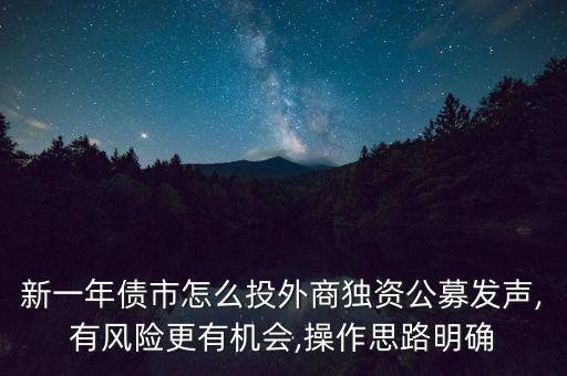 新一年債市怎么投外商獨資公募發(fā)聲,有風(fēng)險更有機會,操作思路明確