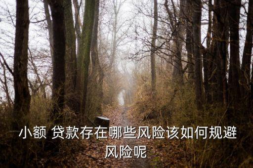  小額 貸款存在哪些風(fēng)險該如何規(guī)避風(fēng)險呢