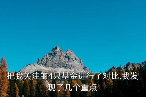 把我關(guān)注的4只基金進(jìn)行了對(duì)比,我發(fā)現(xiàn)了幾個(gè)重點(diǎn)