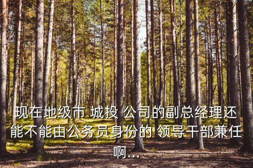現(xiàn)在地級市 城投 公司的副總經(jīng)理還能不能由公務員身份的 領導干部兼任啊...