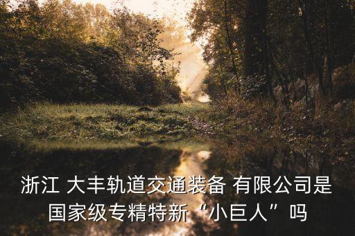 浙江 大豐軌道交通裝備 有限公司是國家級(jí)專精特新“小巨人”嗎