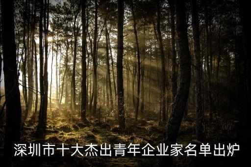  深圳市十大杰出青年企業(yè)家名單出爐