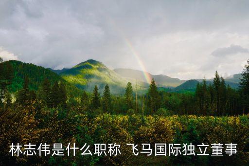 林志偉是什么職稱 飛馬國(guó)際獨(dú)立董事
