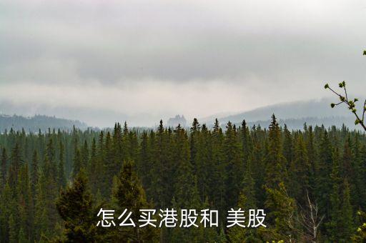 怎么買港股和 美股
