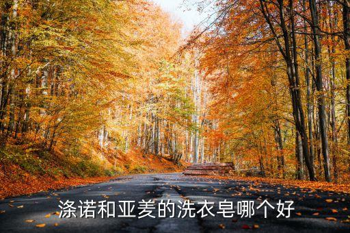  滌諾和亞羑的洗衣皂哪個(gè)好