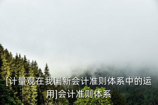 [計(jì)量觀在我國(guó)新會(huì)計(jì)準(zhǔn)則體系中的運(yùn)用]會(huì)計(jì)準(zhǔn)則體系