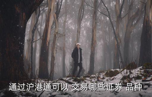 通過滬港通可以 交易哪些證券 品種