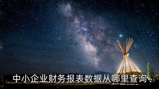 中小企業(yè)財(cái)務(wù)報表數(shù)據(jù)從哪里查詢