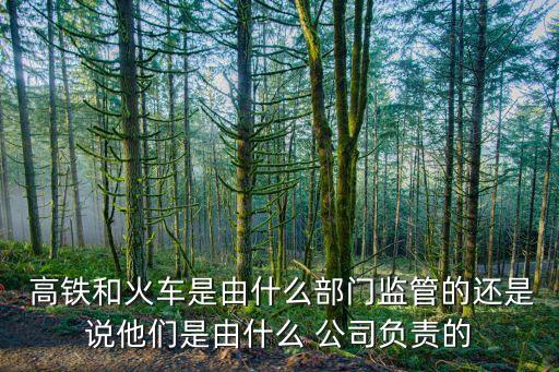  高鐵和火車是由什么部門監(jiān)管的還是說他們是由什么 公司負(fù)責(zé)的