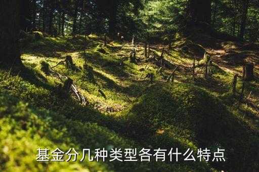  基金分幾種類型各有什么特點