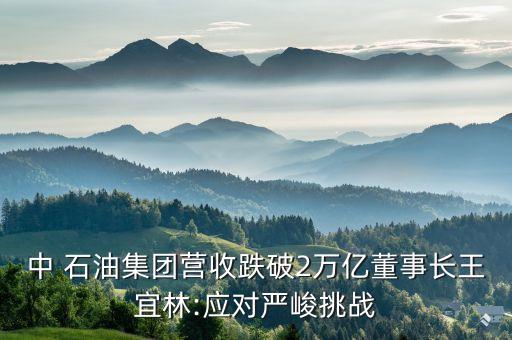 中 石油集團營收跌破2萬億董事長王宜林:應(yīng)對嚴(yán)峻挑戰(zhàn)