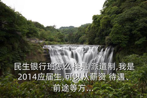  民生銀行班怎么樣是 派遣制,我是2014應(yīng)屆生,可以從薪資 待遇、前途等方...